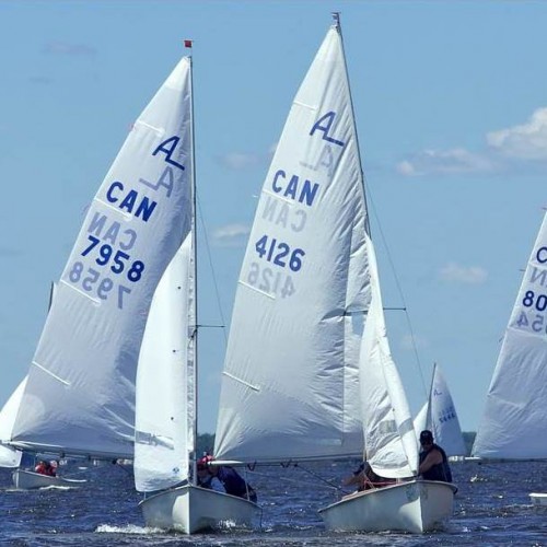 Albacore sailboats racing downwind