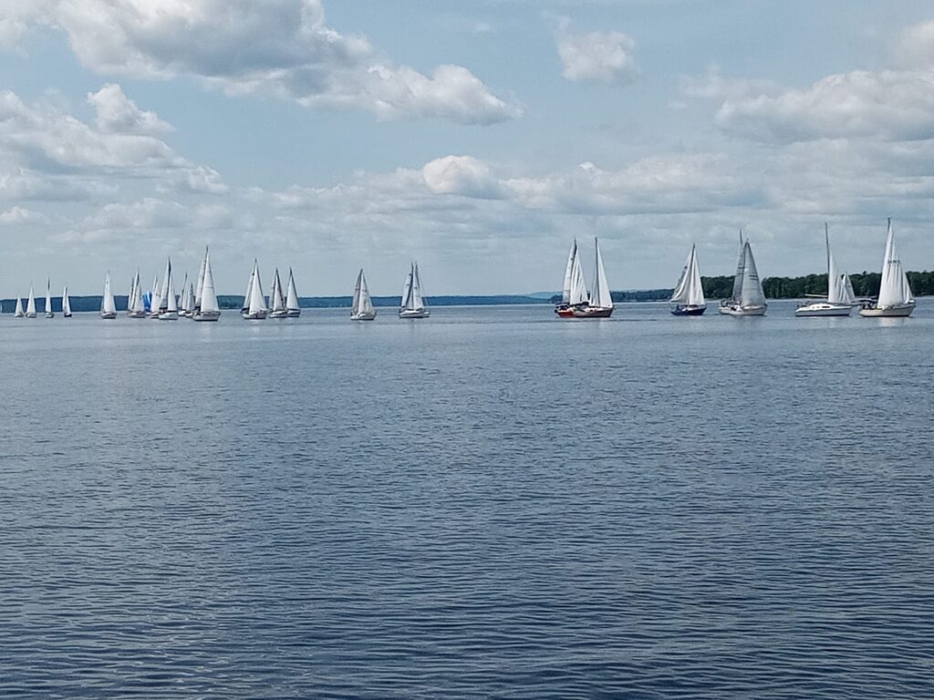 Parade of sailboats during Sailpast