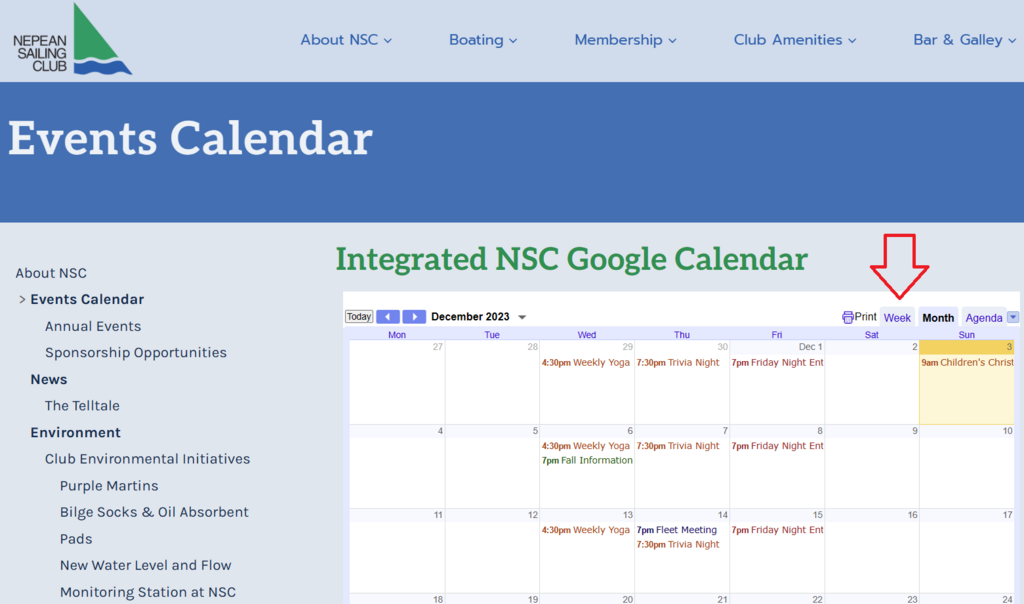 Screenshot of NSC integrated Google calendar