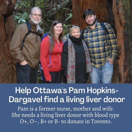 The Dargavel Family are looking for a living liver donor to save Pam's life