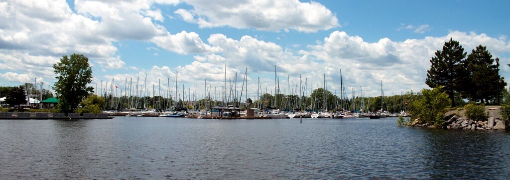 A view of the harbour from the water