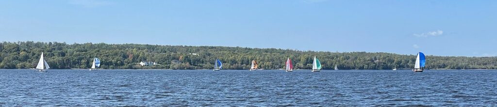 Sail boats racing on a sunny day with low tree-lined hill in the background