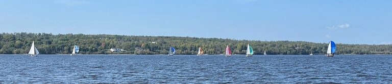 Sailboats sailing up the river in the 26 km race