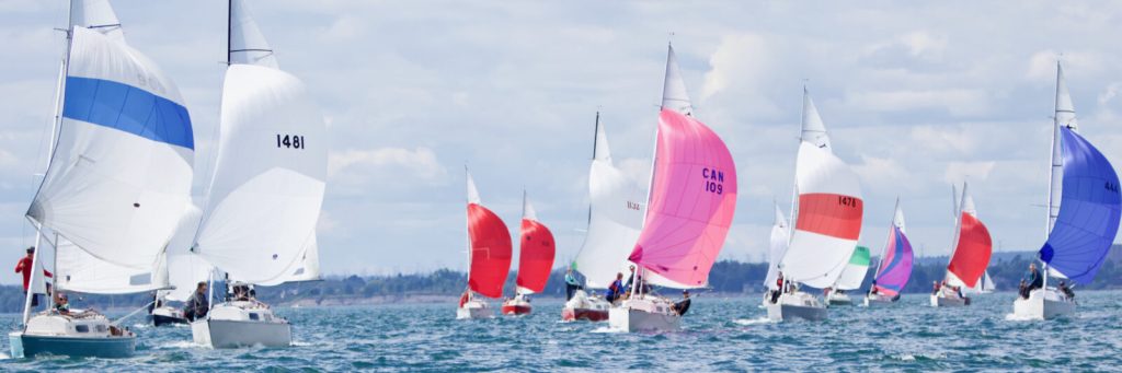 shark sailboats sailing